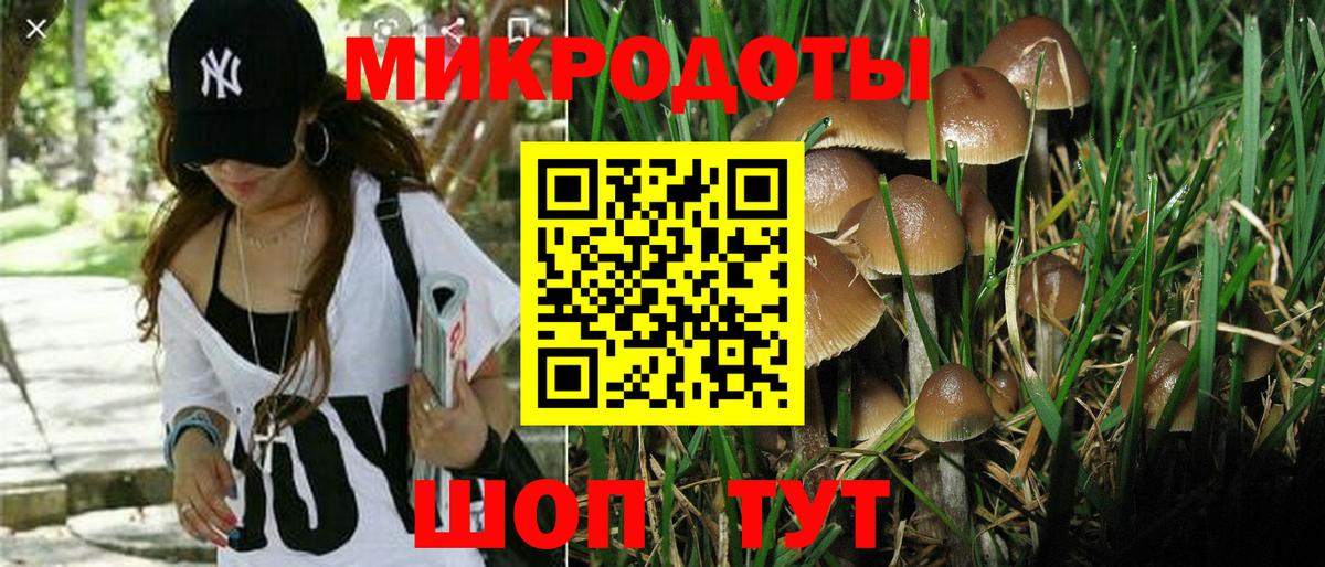 Псилоцибиновые грибы MAGIC MUSHROOMS  Вход с VPN  Псилоцибиновые грибы Psilocybe  Реж 